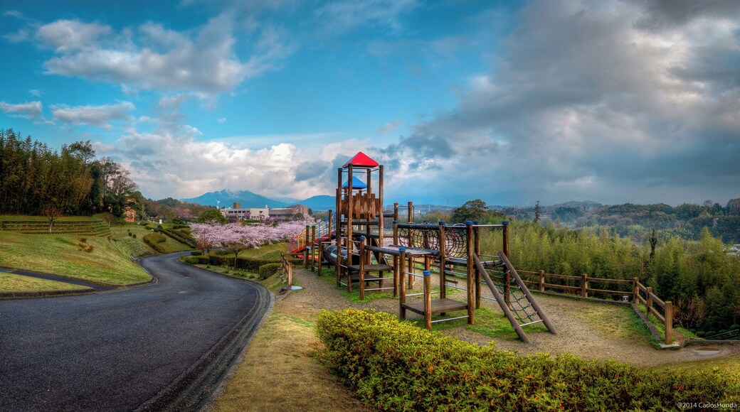 140406-0702 Sakura, Kameyama Park
