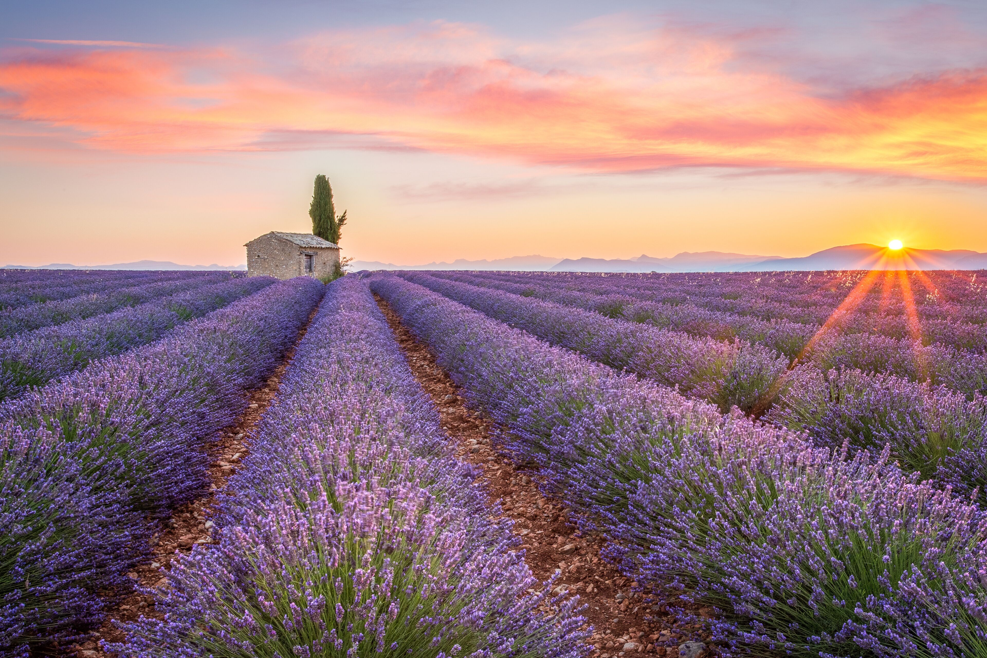 Valensole