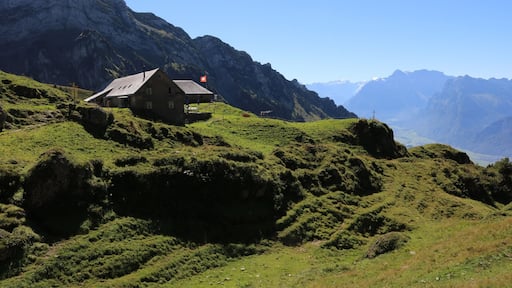 NO EDITING: today I was hiking with my brother and we passed this restaurant on the Alp Oberchäseren on our way onto the mountain Speer...