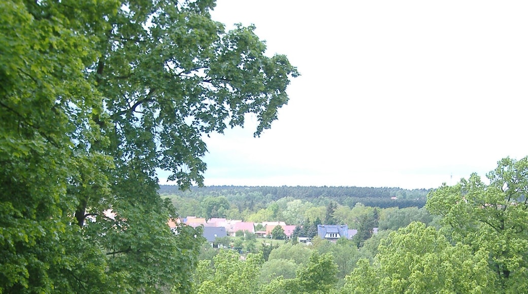 Belzig Burg Eisenhardt