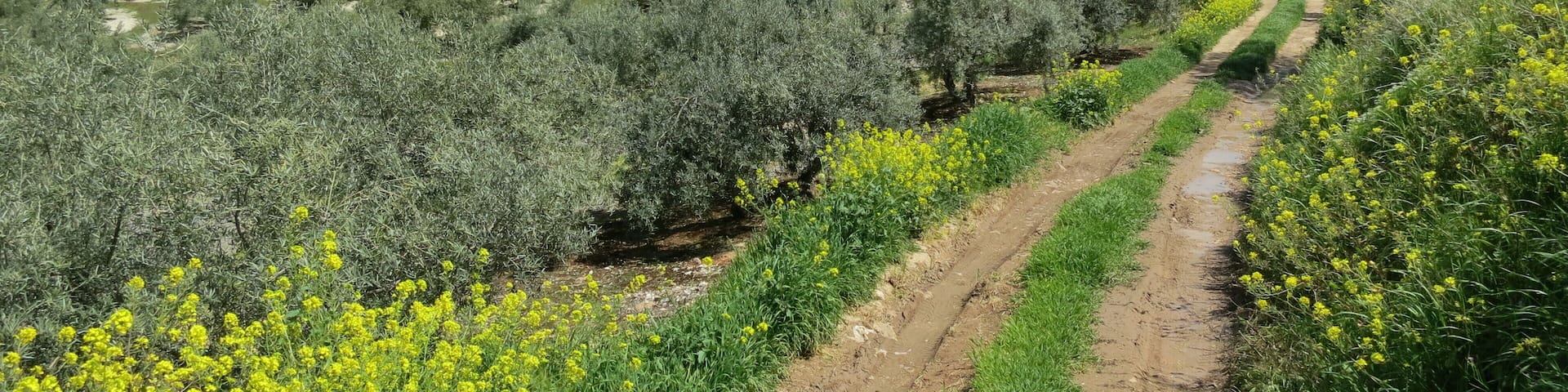 Sierras Subbéticas Natural Park