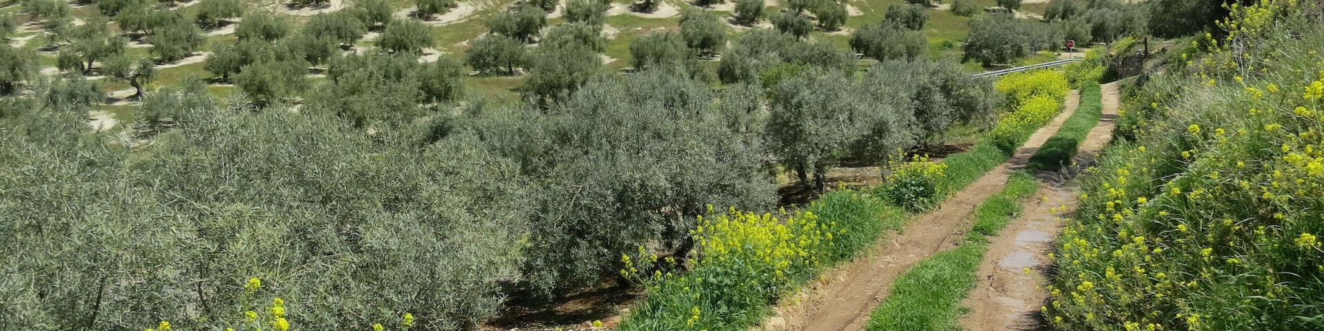 Sierras Subbéticas Natural Park