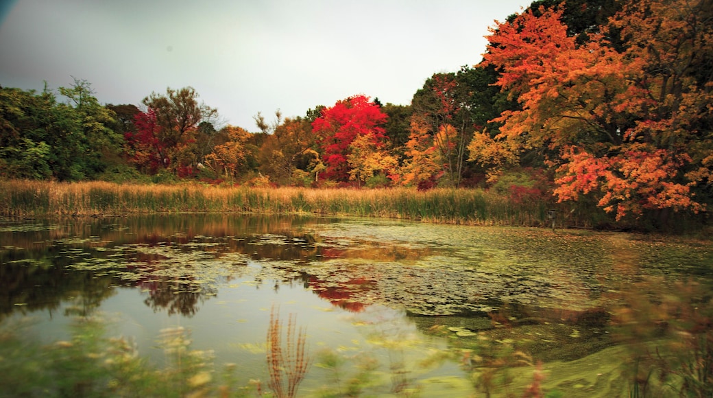On the way to Sturbridge village
