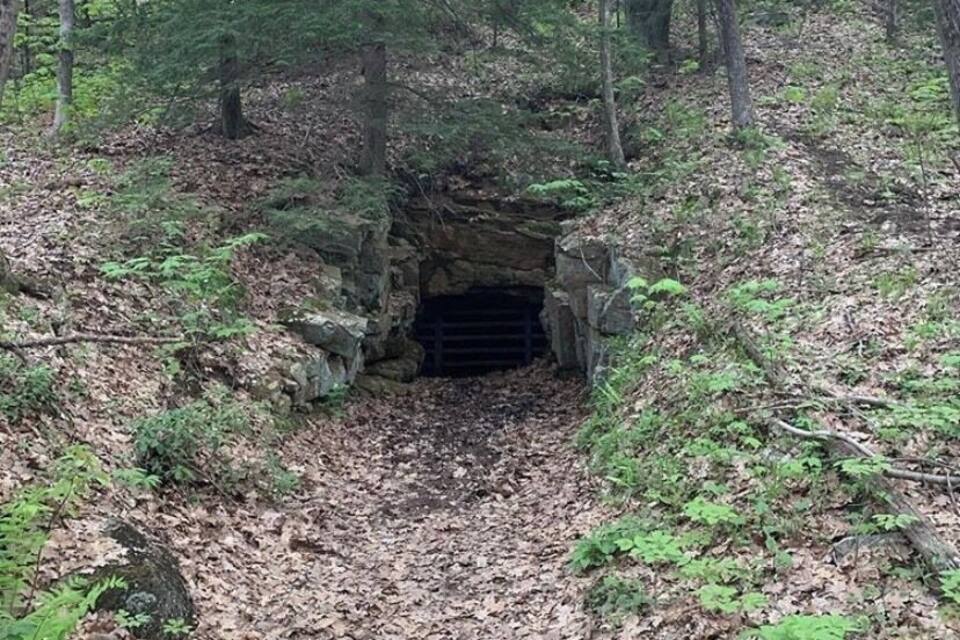 Un área boscosa con la entrada a un túnel de piedra rodeada de árboles y helechos.
