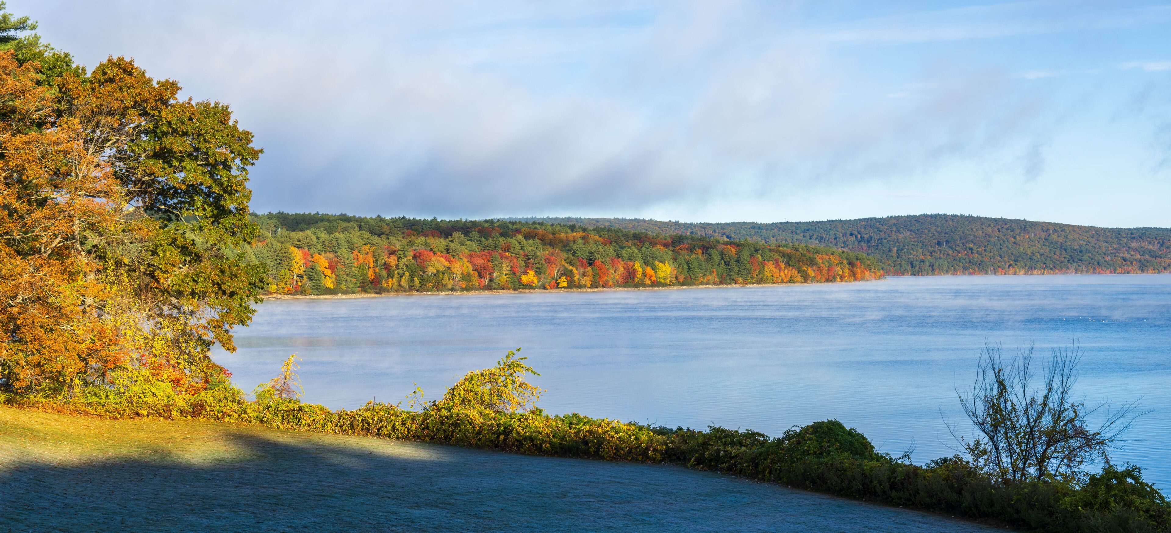 Colorful trees on the shore of Quabbin Reservoir