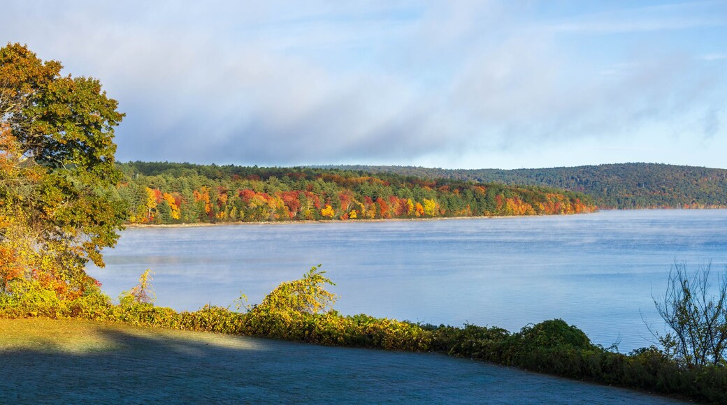 Colorful trees on the shore of Quabbin Reservoir