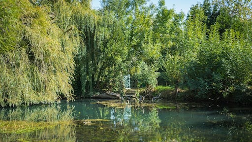 The marshes of Bourges (Berry, France) are 135 hectares of swamps changed to lovingly cultivated gardens, not far from the historic center