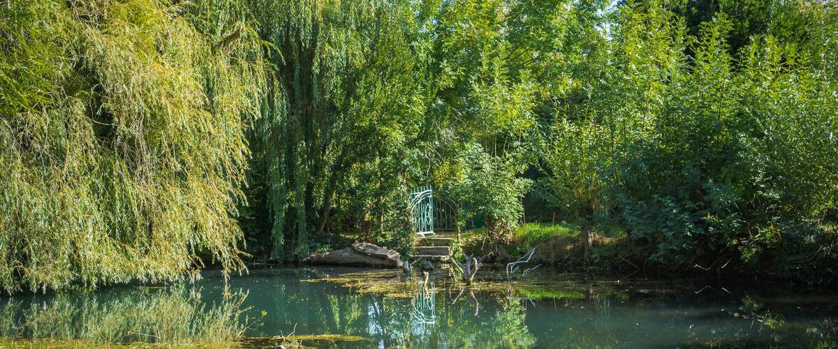 A serene pond surrounded by lush greenery and a small bridge.