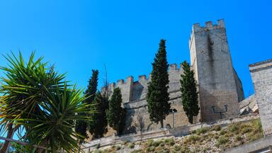A historic stone castle with tall towers and battlements, surrounded by cypress trees and a palm plant.