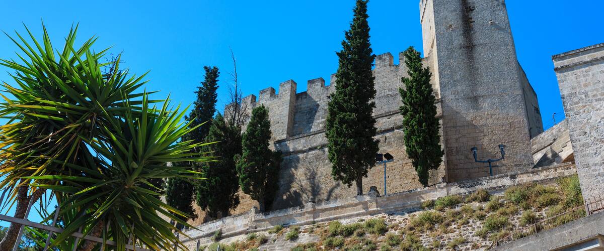 A historic stone castle with tall towers and battlements, surrounded by cypress trees and a palm plant.