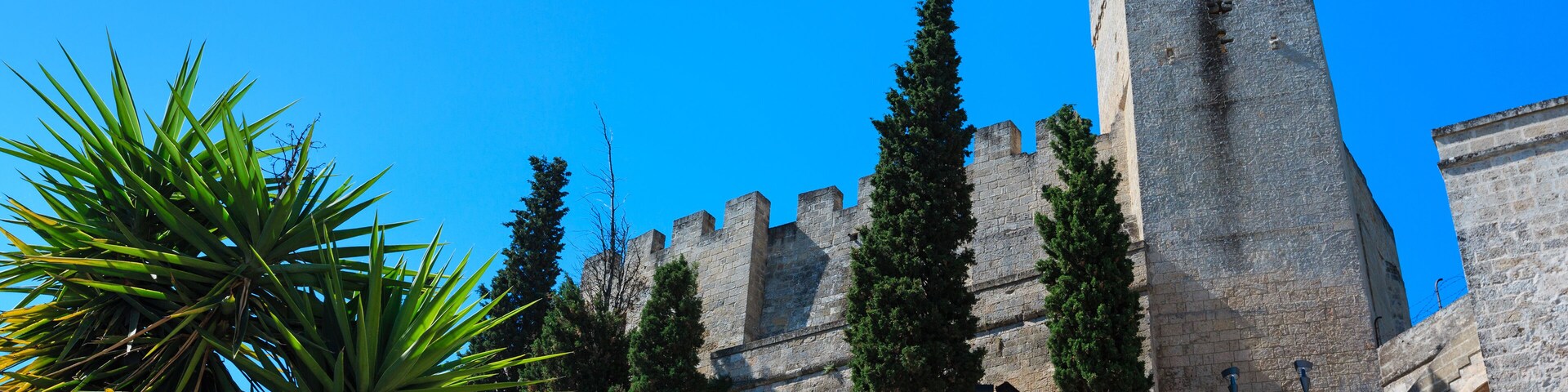 A historic stone castle with tall towers and battlements, surrounded by cypress trees and a palm plant.