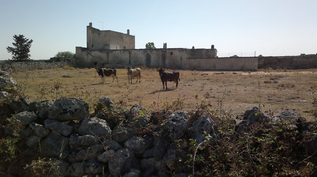 masseria