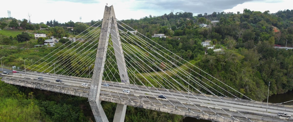A cable-stayed bridge over a river with greenery and houses in the background.