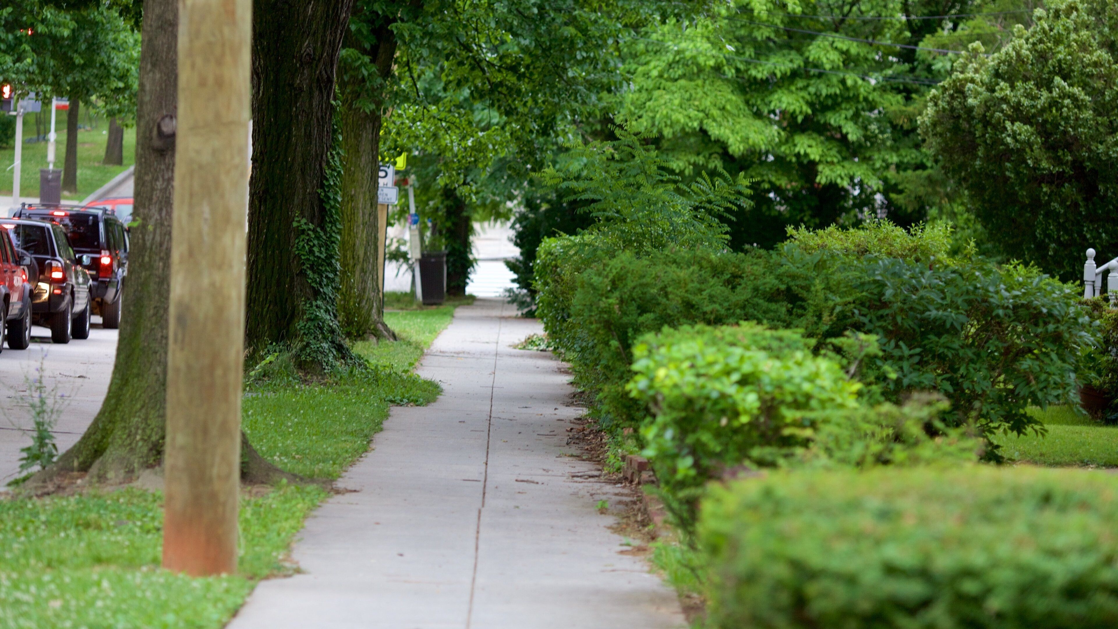Langdon which includes a garden and street scenes