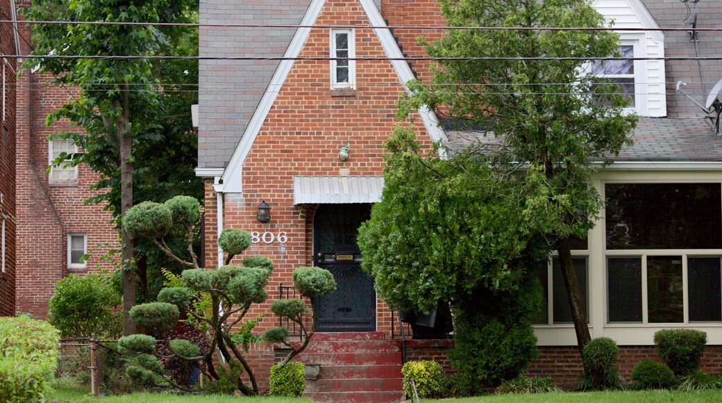 Langdon ofreciendo un parque y una casa