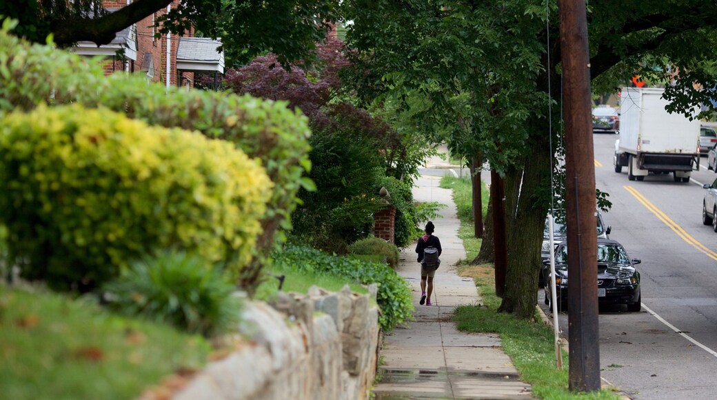 Langdon featuring a garden and street scenes as well as an individual femail