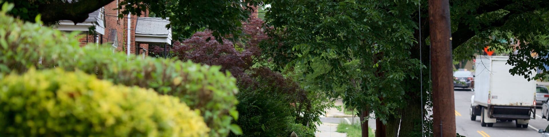 Langdon which includes street scenes and a park as well as an individual femail