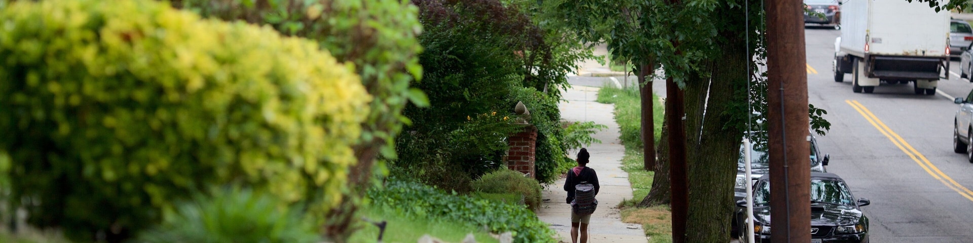 Langdon featuring street scenes and a garden as well as an individual female