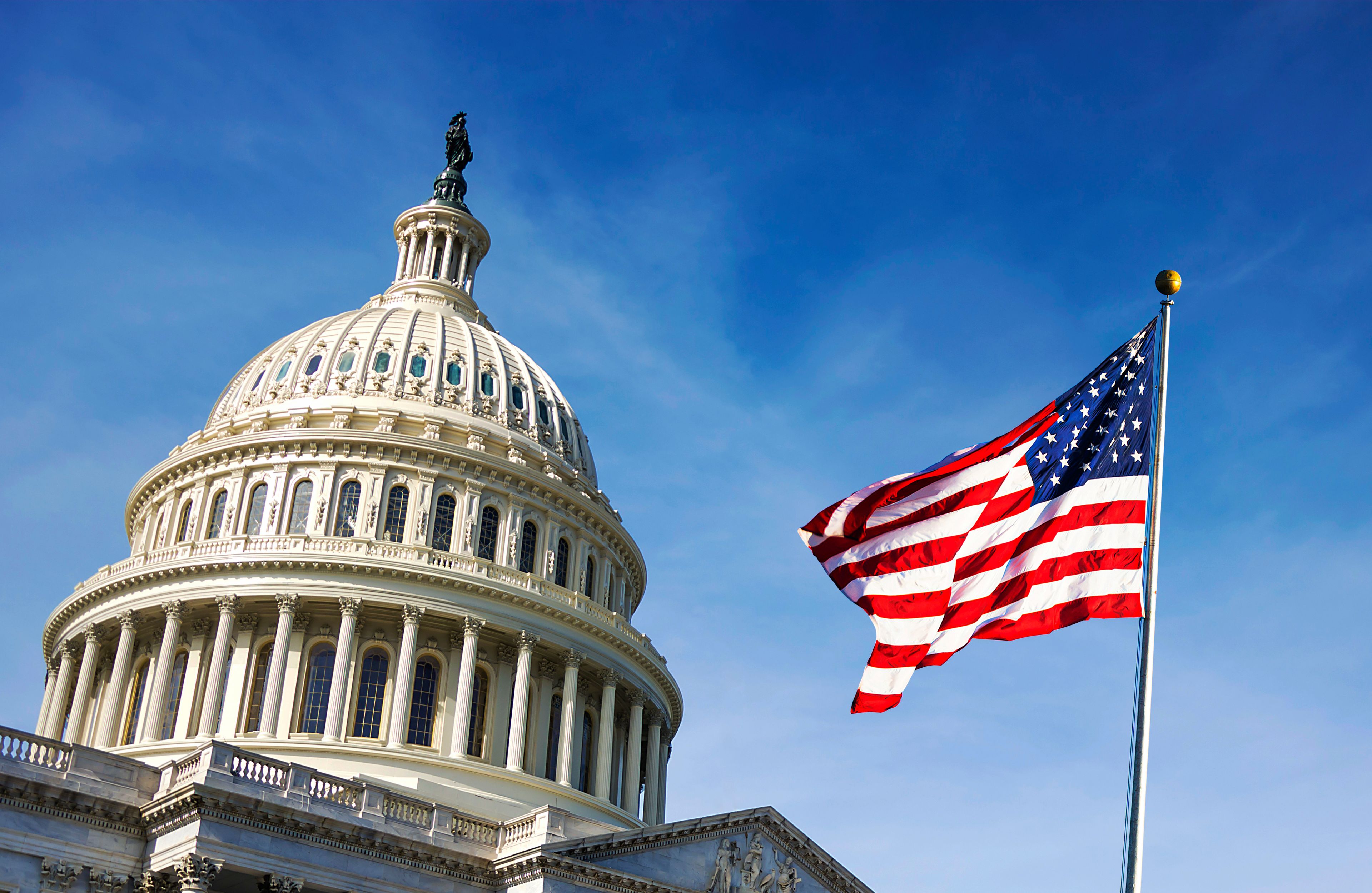A large white dome building with columns and an American flag.