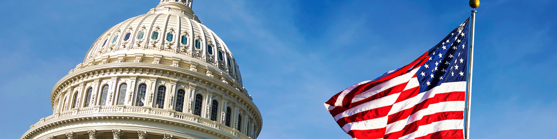 A large white dome building with columns and an American flag.