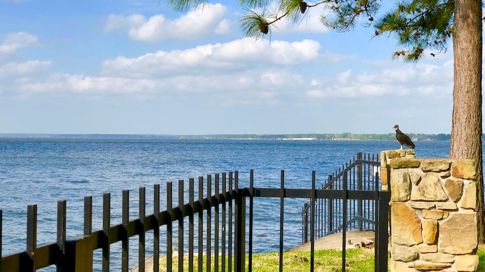 A wooden fence, a stone wall, and a bird on a tree branch overlooking a body of water.