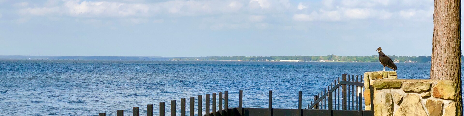 Lake Conroe Texas, Shutterstock ID 1055216219, purchase_order: SP-1269 HA 2018 Batch 1, Order: , client: , other: