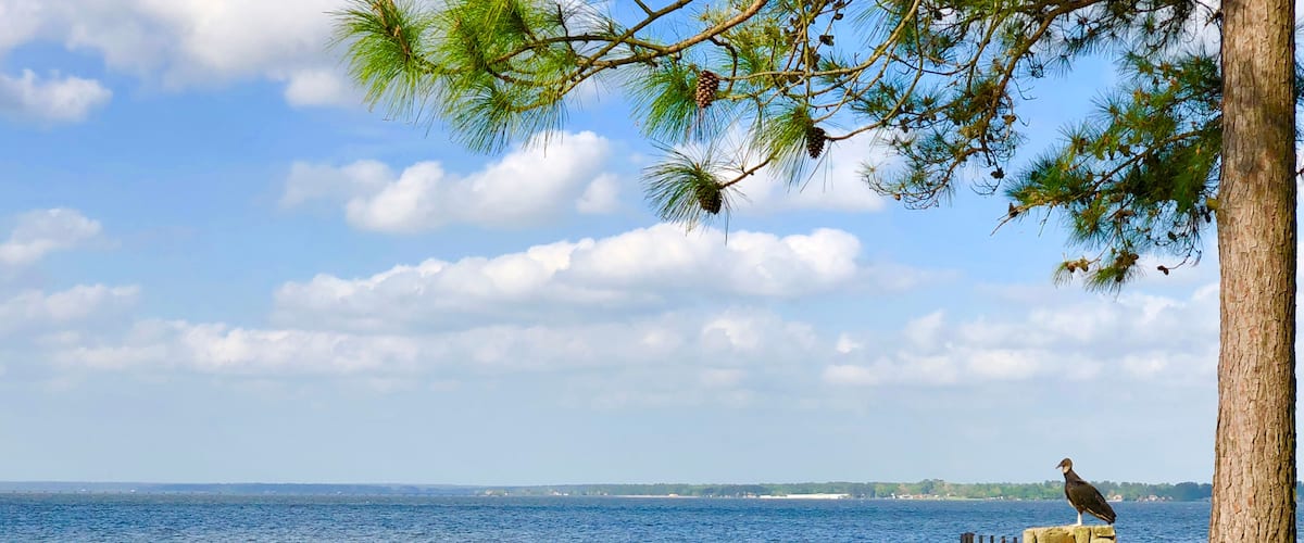 Lake Conroe Texas, Shutterstock ID 1055216219, purchase_order: SP-1269 HA 2018 Batch 1, Order: , client: , other: