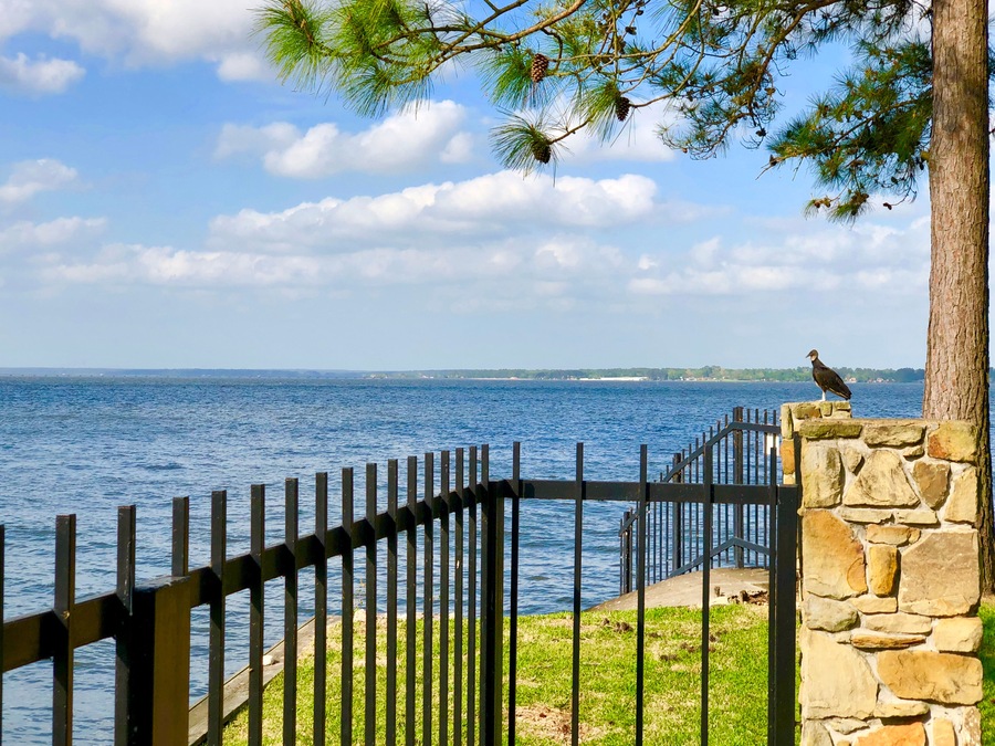 Lake Conroe Texas; Shutterstock ID 1055216219; purchase_order: SP-1269 HA 2018 Batch 1; Order: ; client: ; other: