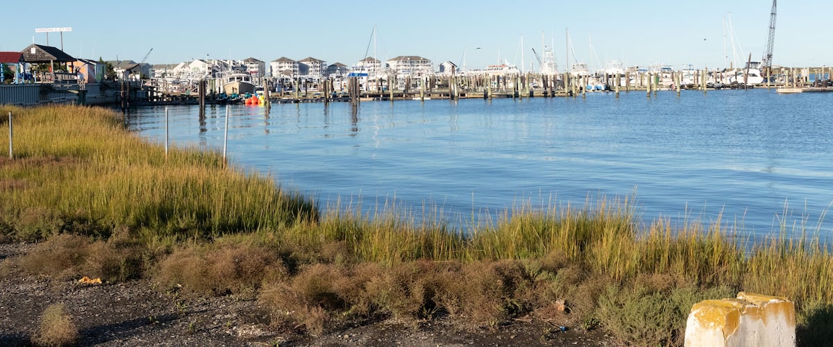 A marina with boats docked, a crane, and buildings along the waterfront.