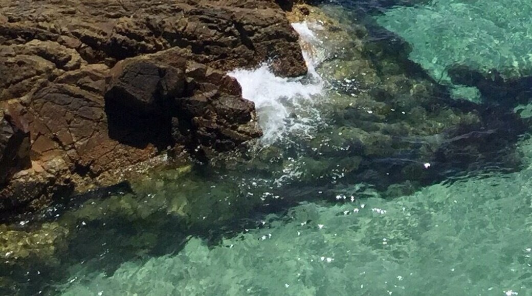 January 2018
View from the Lighthouse walk. Australia’s most eastern point.