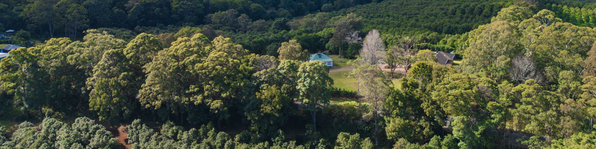 A lush green landscape with dense forests, a few scattered houses, and a clear blue sky.