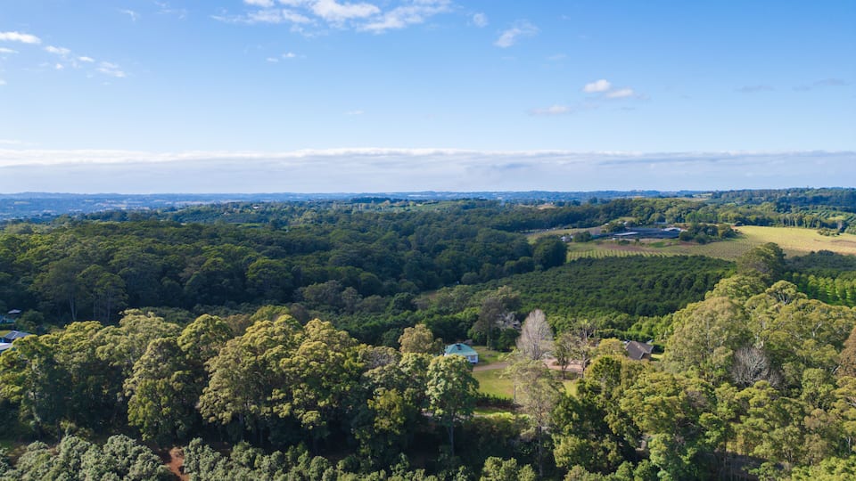 A lush green landscape with dense forests, a few scattered houses, and a clear blue sky.