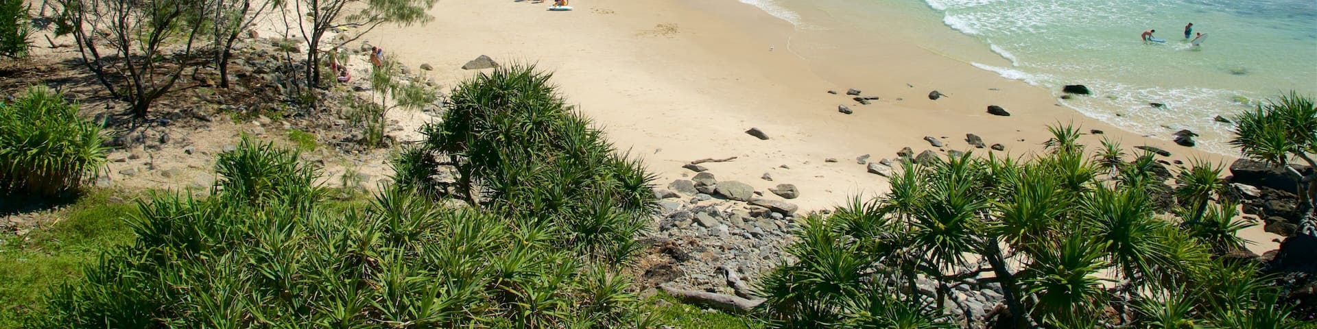 Tweed Heads featuring hiekkaranta