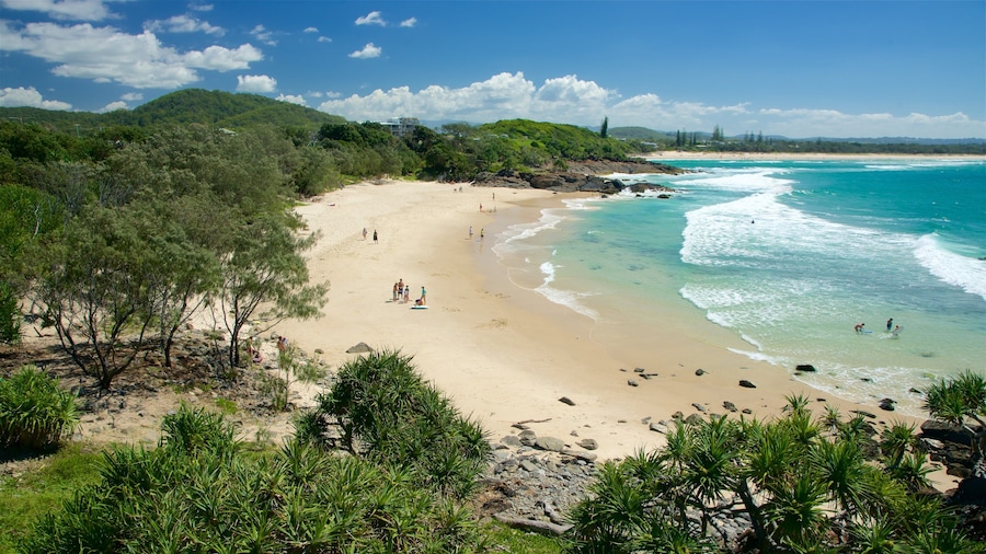 Tweed Heads showing a sandy beach