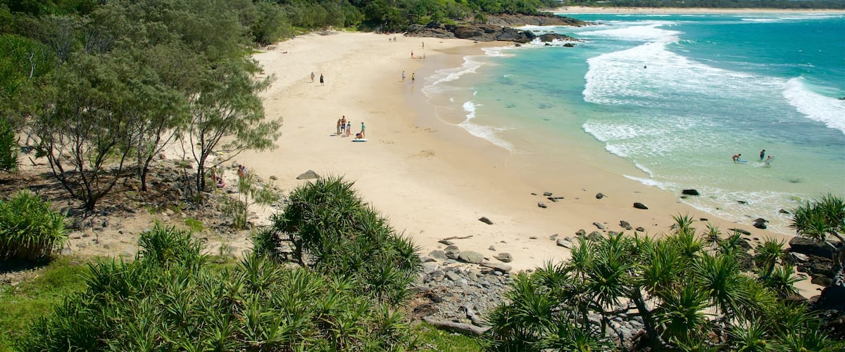 A beach with clear turquoise waters, sandy shore, and lush green vegetation.