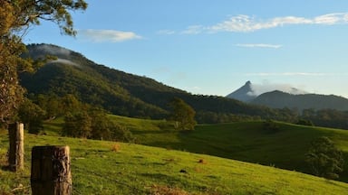 A grassy hillside with a wooden post and a mountain in the background.