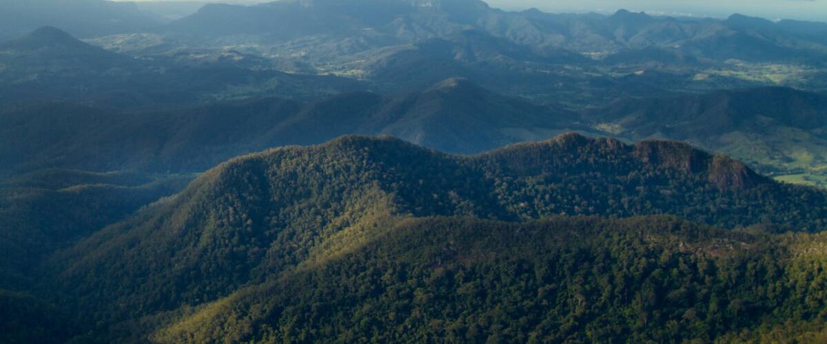 A mountainous landscape with dense forests and rolling hills.
