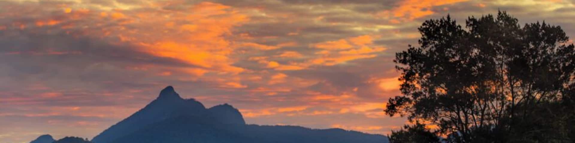 A sunset over a mountainous landscape with a river and a tree.