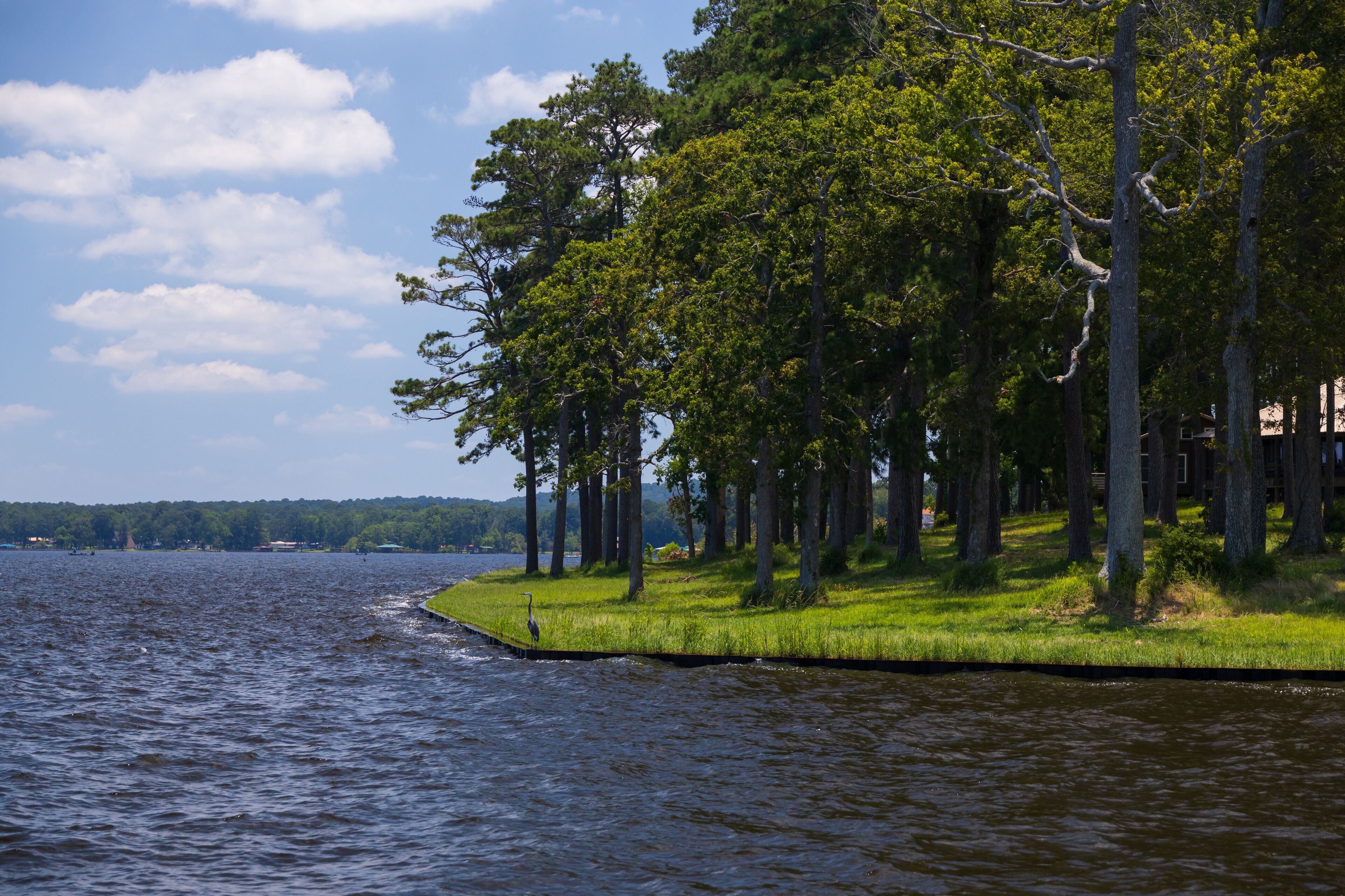Toledo Bend Reservoir, Texas