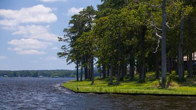Toledo Bend Reservoir, Texas