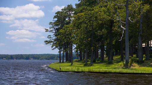Toledo Bend Reservoir, Texas