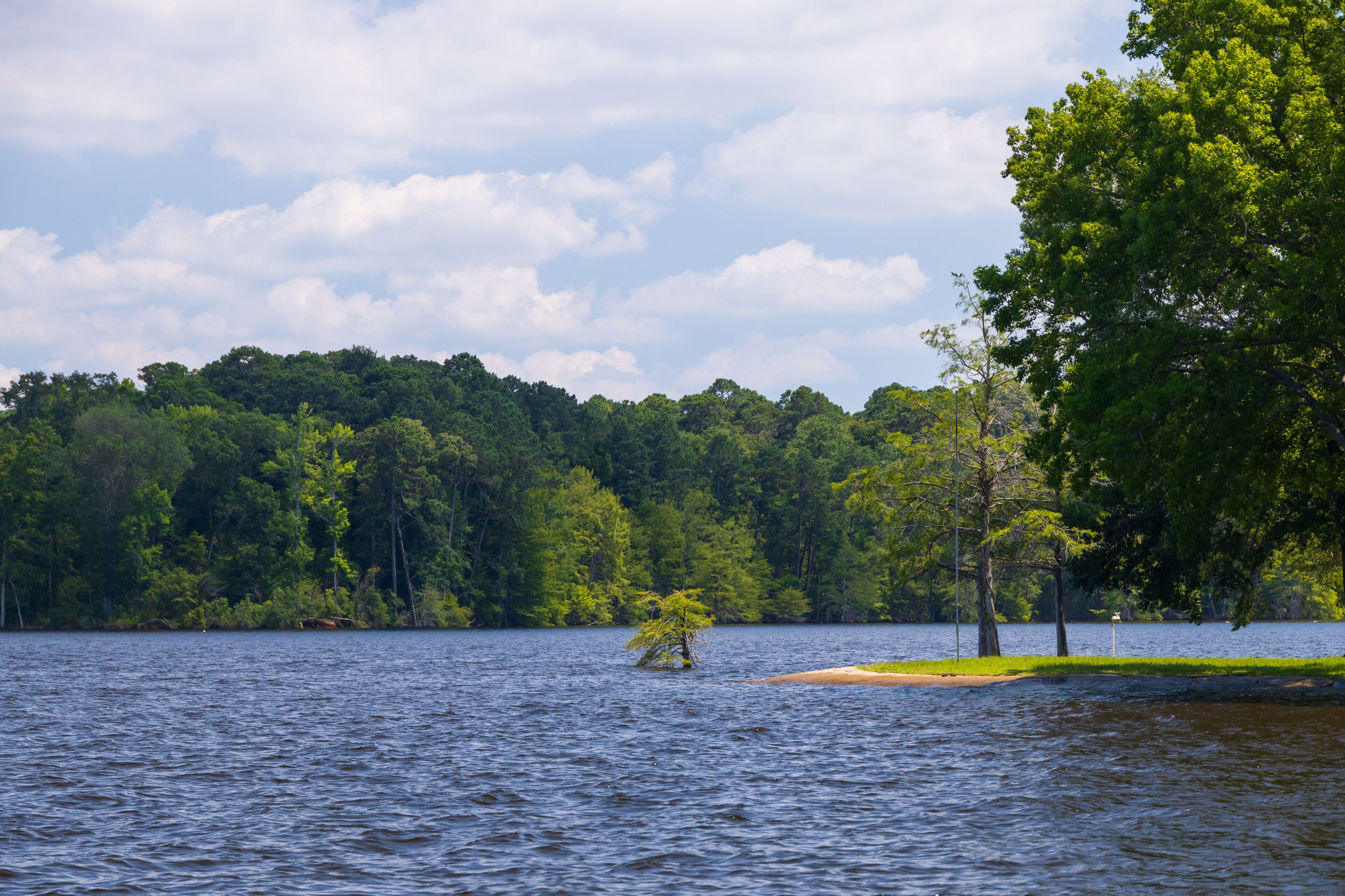 Toledo Bend Reservoir, Texas