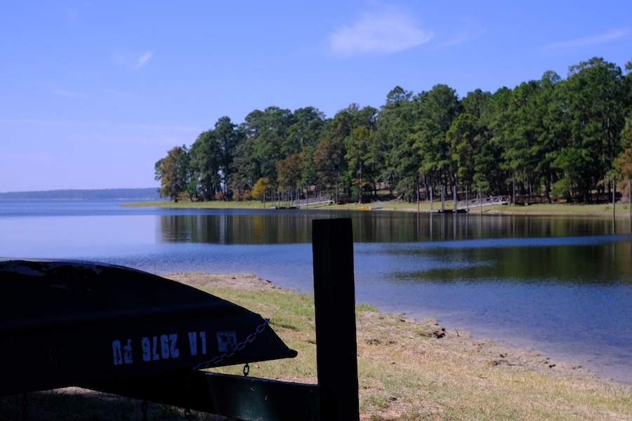 Um lago tranquilo com margem gramada e uma fileira de árvores ao fundo.