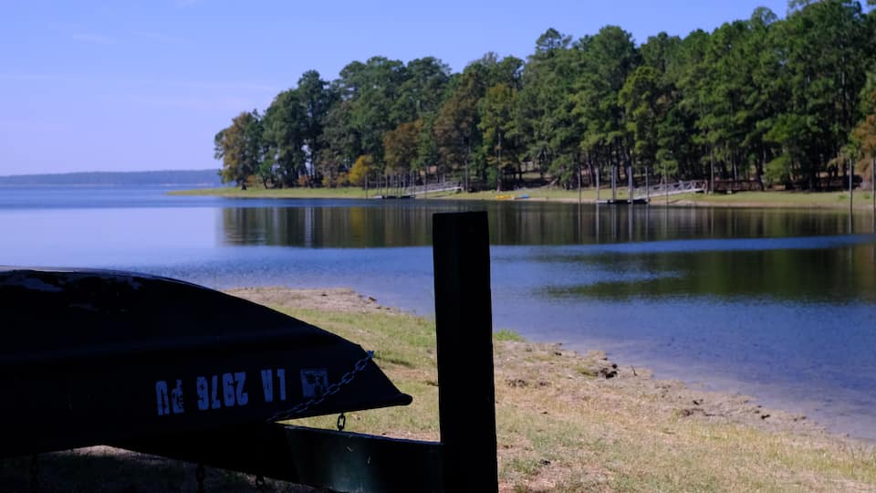 A calm lake with a grassy shore and a row of trees in the background.