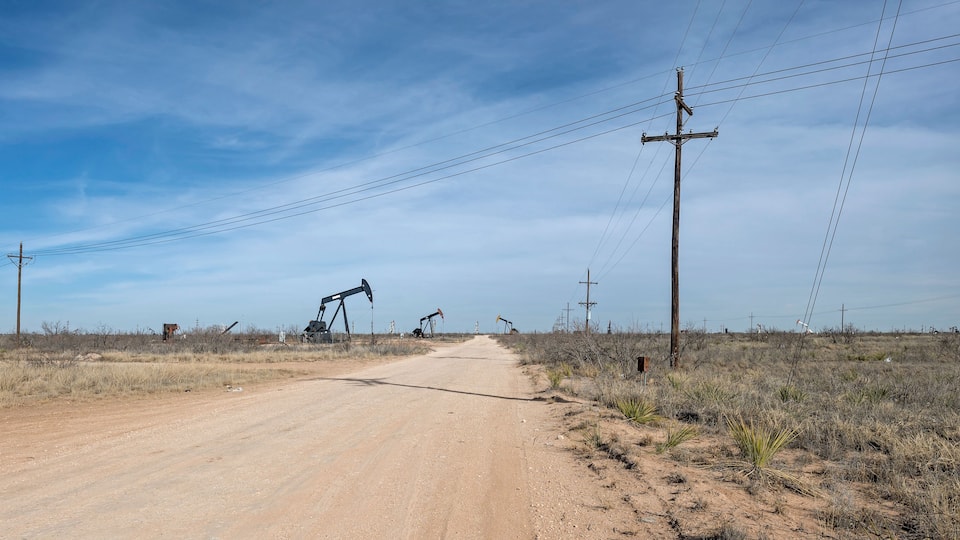 A dirt road with oil pumps in a dry, grassy landscape.