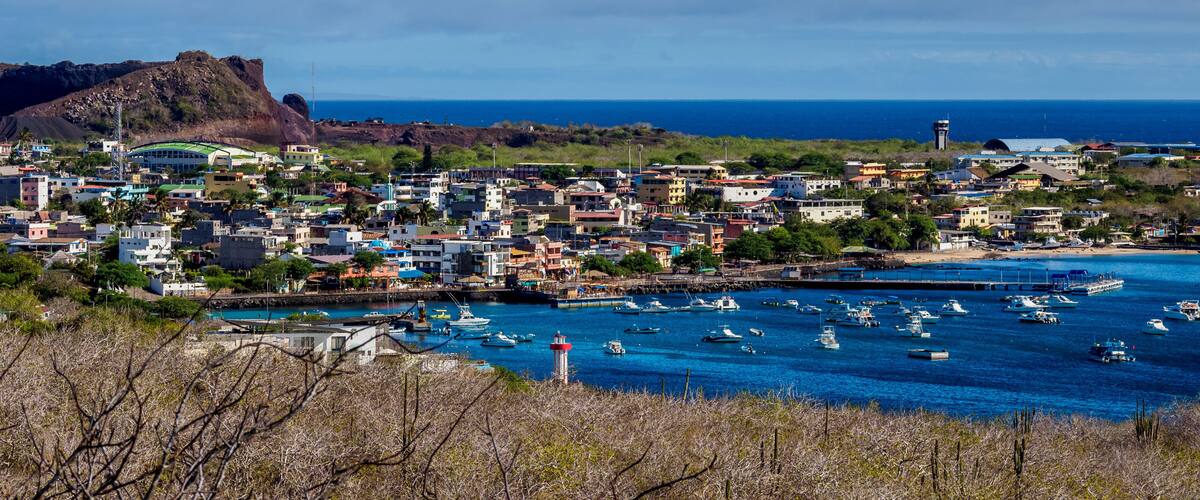 A coastal town with a prominent hill, a lighthouse, and numerous boats in the harbor.