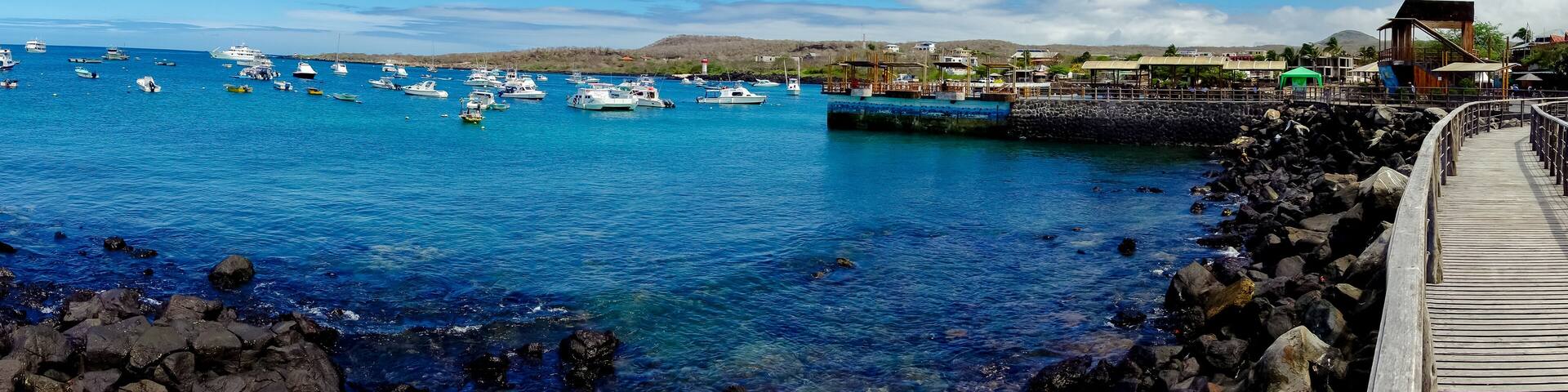 marina in san cristobal galapagos islands ecuador