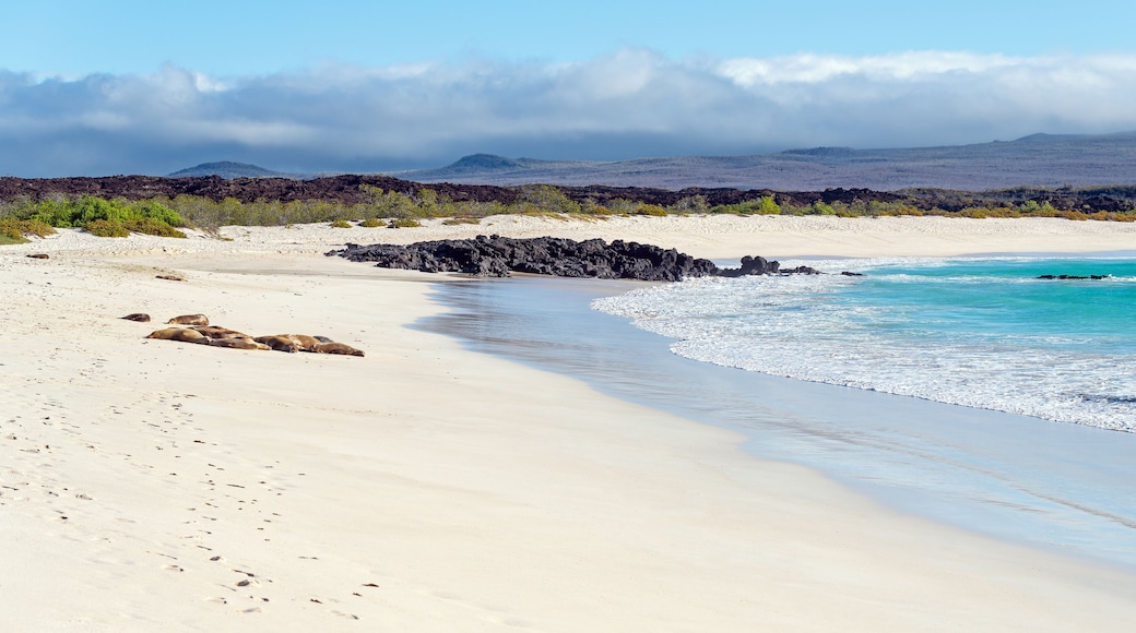 San Cristobal Island