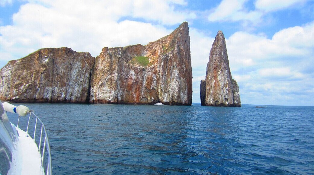Great snorkeling spot if the water is warm, otherwise, rent a body suit. We swam with turtles, sea lions, saw a shark - fantastic experience!