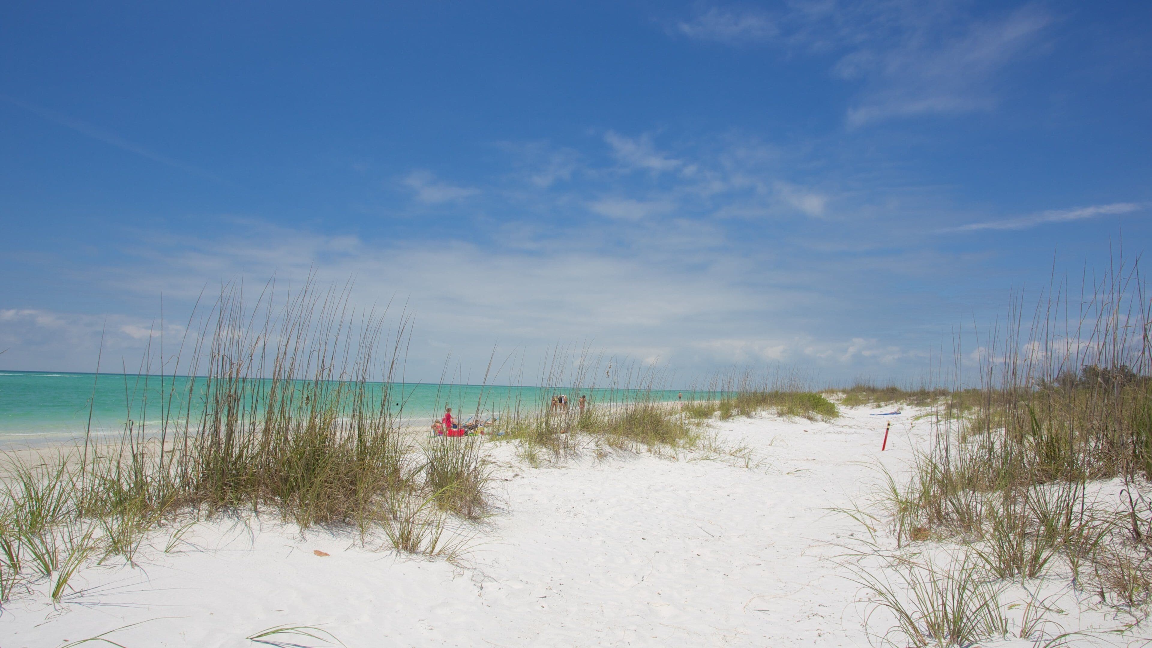 Ein Strand mit weißem Sand, klarem türkisblauem Wasser und spärlicher Vegetation.